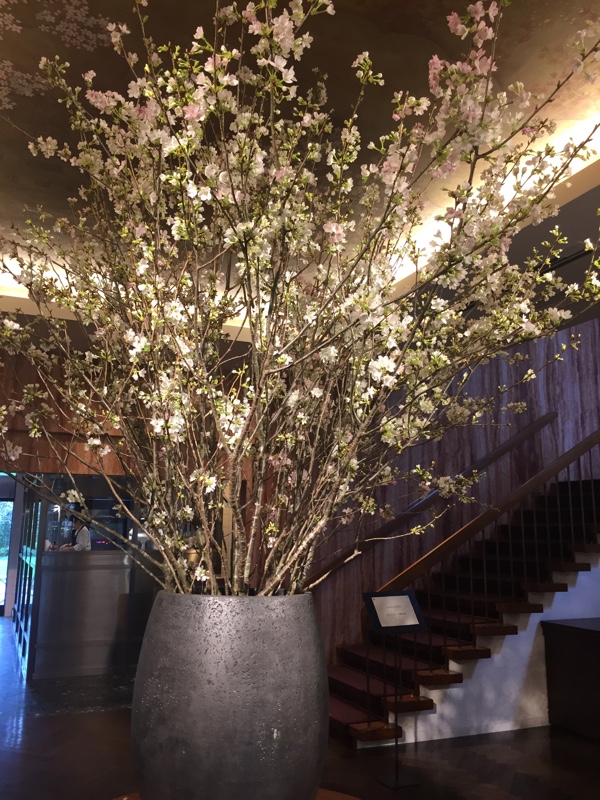 f:id:rrrrrrrrisa:20160701165551j:plain f:id:rrrrrrrrisa:20160701165551j:plain