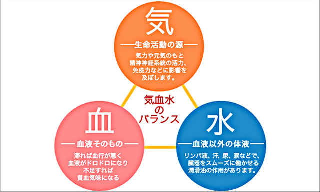 気血水とはなんぞや？を追求したら、インスピが降りてきて言霊につながった