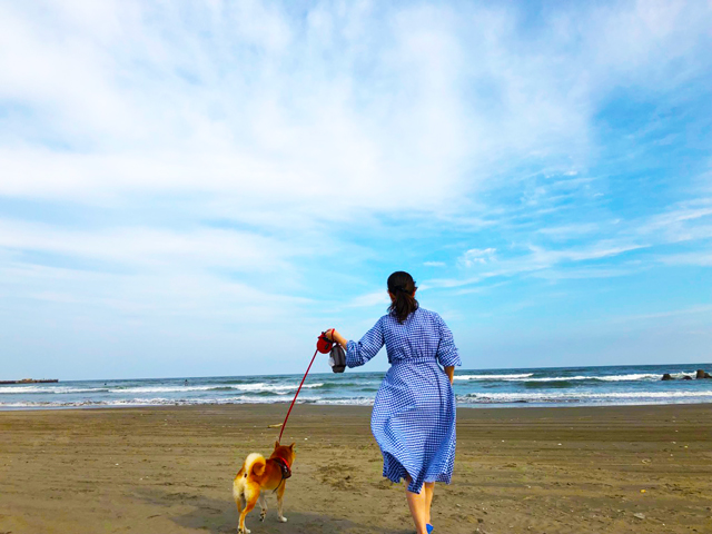 f:id:rrryo719719:20191002112719j:plain
