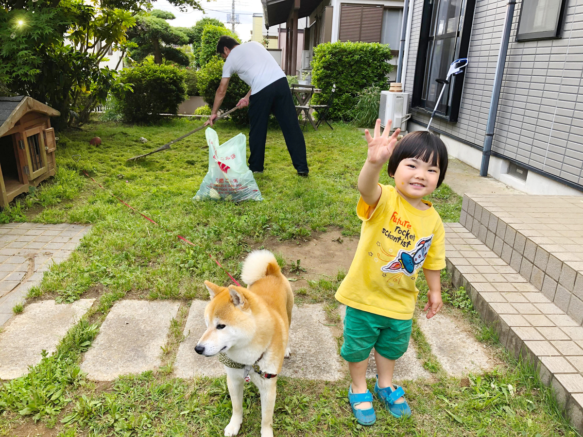 犬は水洗いだけだと臭くならない ペットシャンプー業界激震の真実 シャングリラ アース 魔法と宇宙の法則の願望実現レシピ