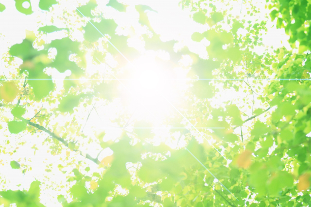 f:id:rrryo719719:20200806084307j:plain