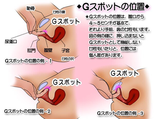 Gスポットとクンダリーニ