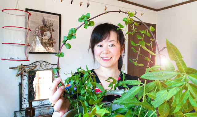 ママ業と魔女の両立☆魔女がメインで生きると決める