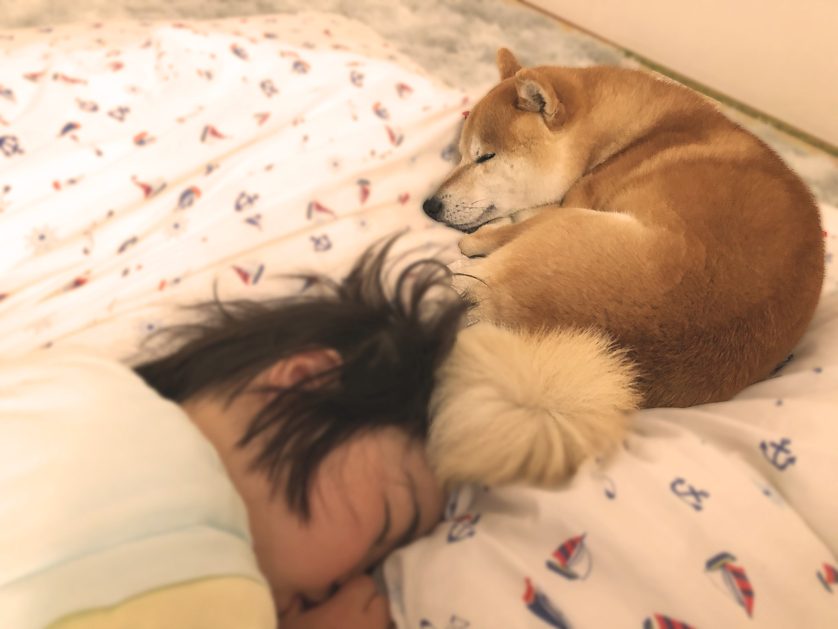 触れるは愛、命が宿る瞬間。