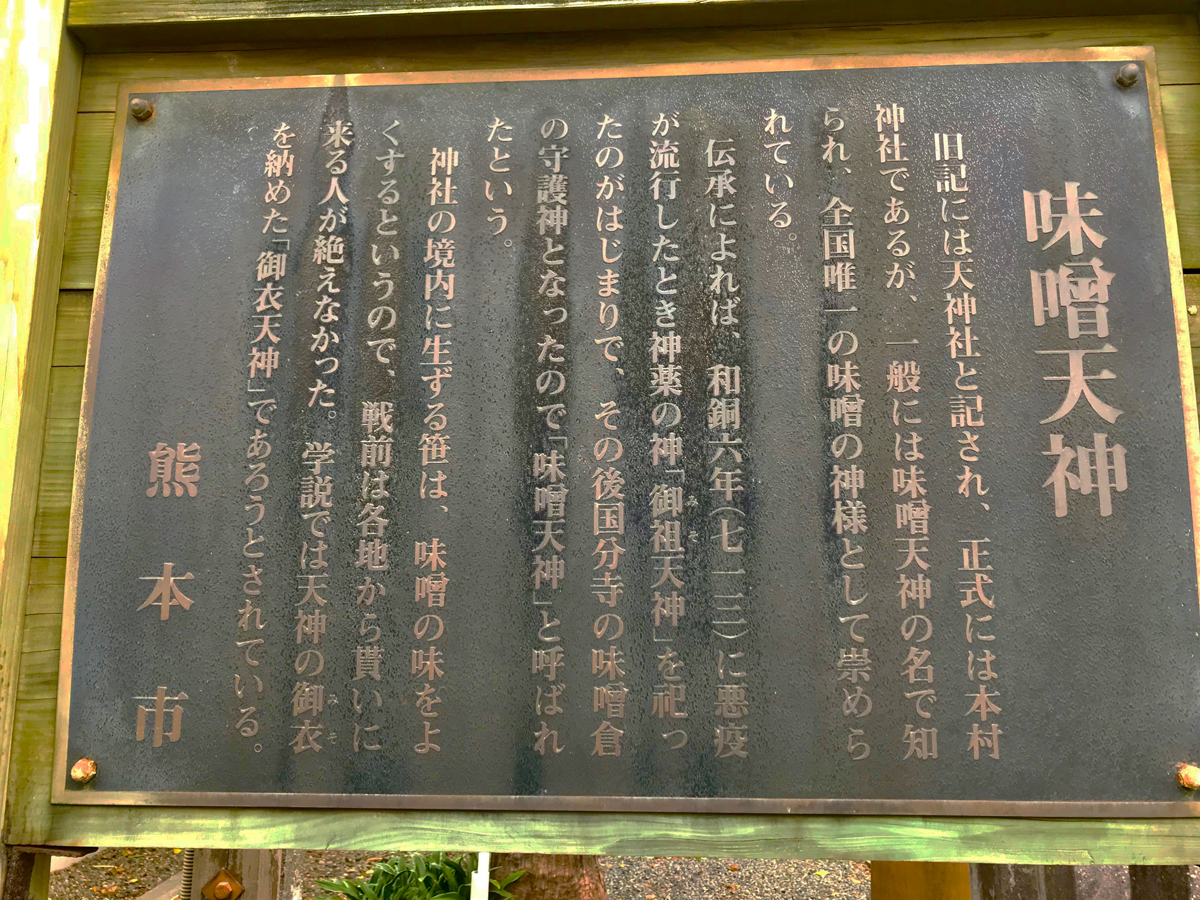 大寒はヘンプ味噌づくり★麻の実×大豆で香ばしい味噌をつくろう