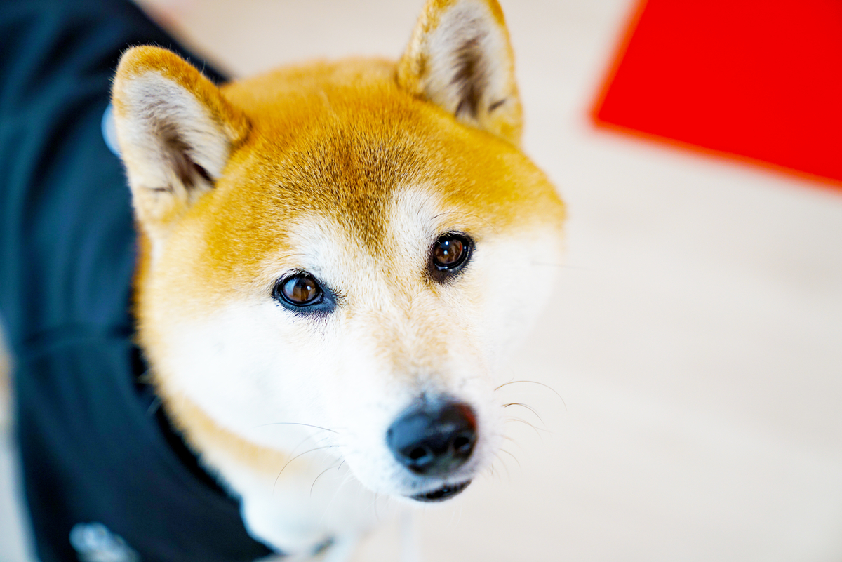 やっぱり！人のご縁は眷属でつながっていた★