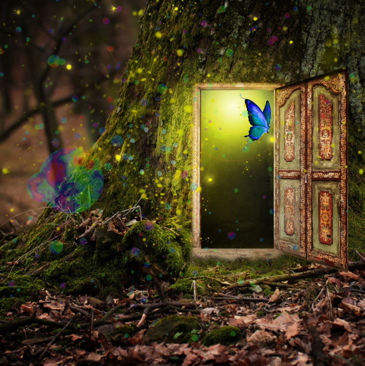 有言実行！の準備完了✨と今後のご報告