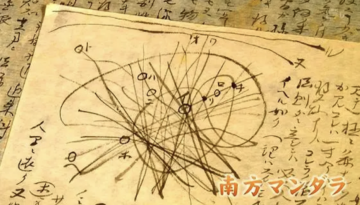 南方熊楠の南方曼荼羅マンダラはトーラス理論とチャクラ