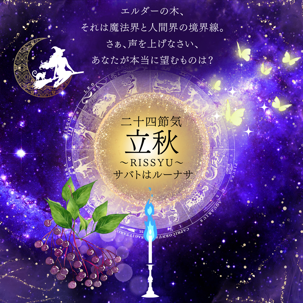 二十四節気８月７日より立秋、魔女暦サバトはルーナサ。自己実現ハーブはエルダー🌿