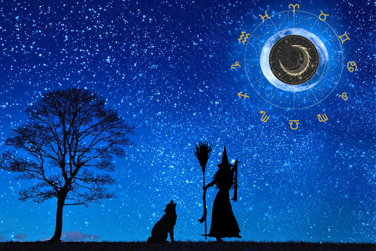 起業魔女の自己実現レッスン、サバトと経営と自然界の法則