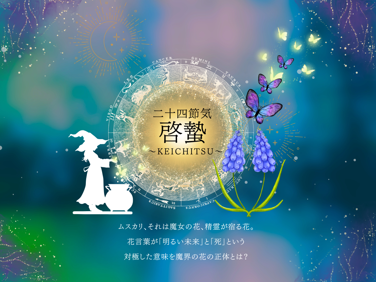 二十四節気 ３月５日より啓蟄(けいちつ)。映画の登場した魔女の花ムスカリの魔法🌿