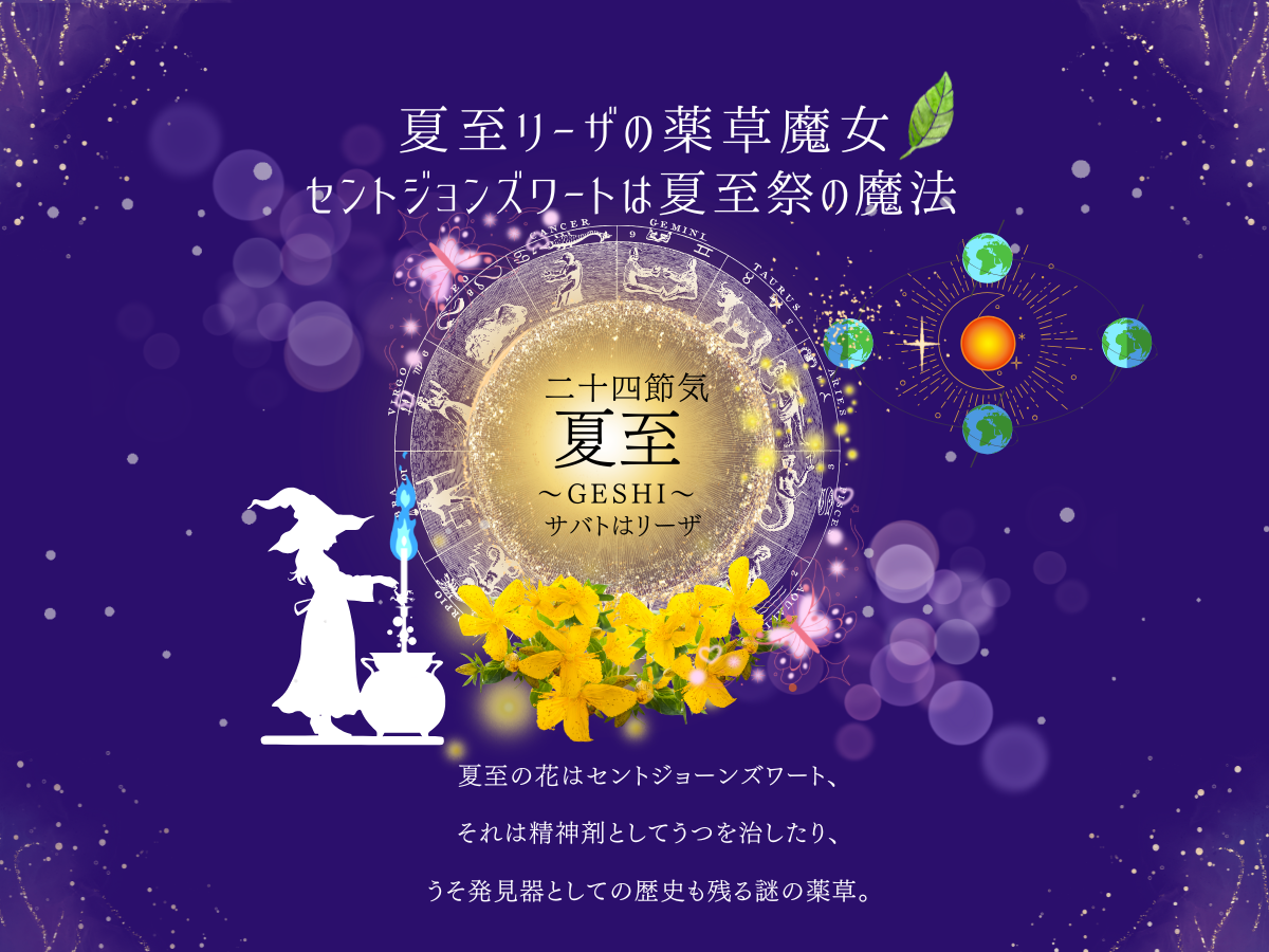 二十四節気 6月21日より夏至、サバトはリーザ、夏至祭の魔法ハーブはセントジョーンズワート🌿