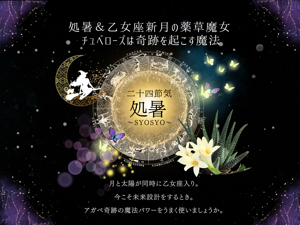 二十四節気 ８月２３日は処暑＆乙女座新月🌙自己実現ハーブはチュベローズ（アガベ・月下香）🌿