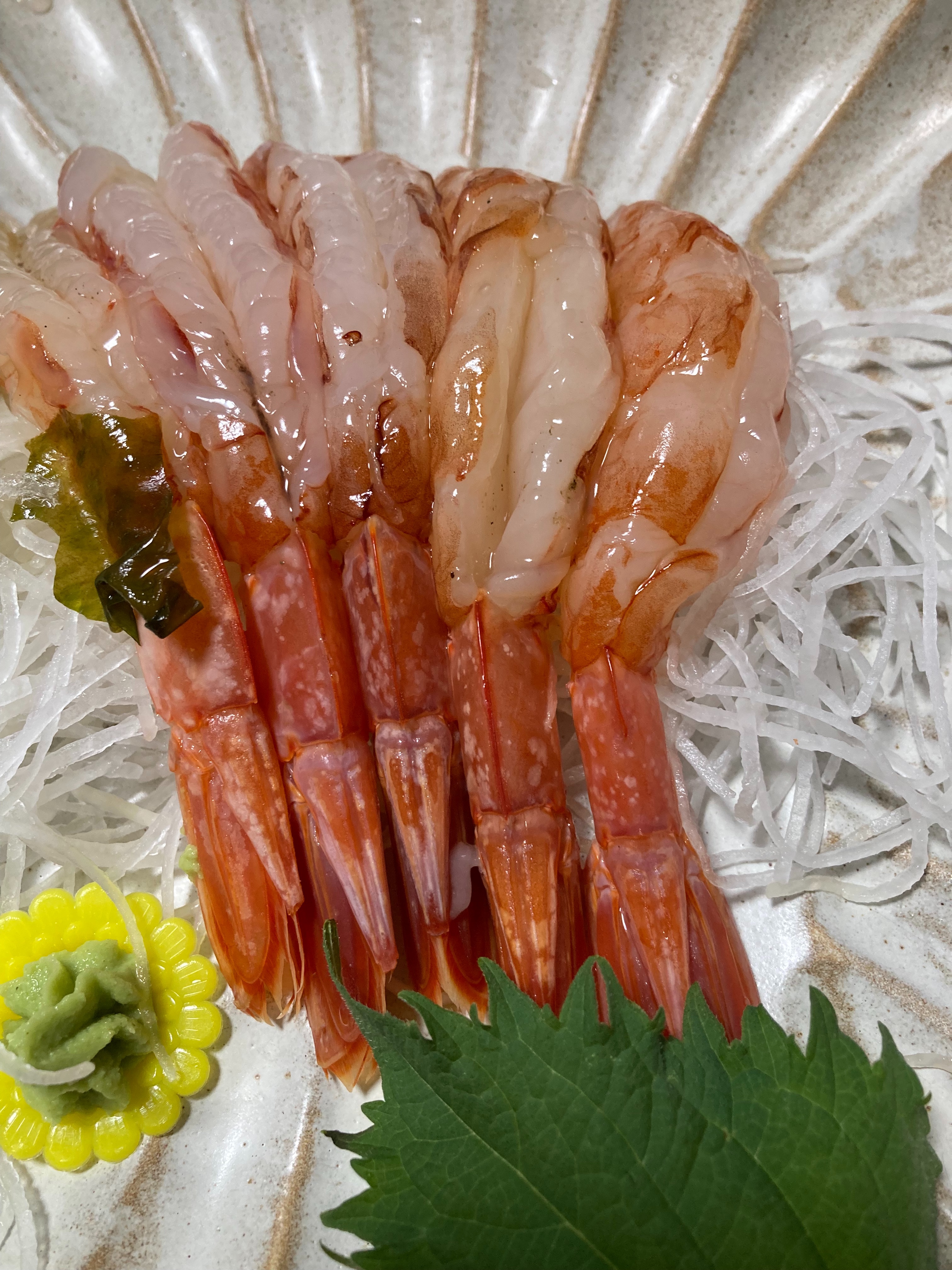 f:id:rrsilr486:20250405085444j:image