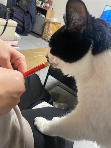 f:id:rs_hibi_log1001:20251218111845j:image