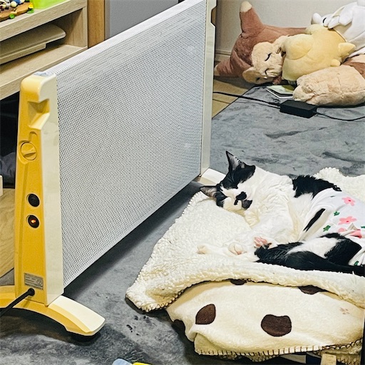 f:id:rs_hibi_log1001:20251220102718j:image