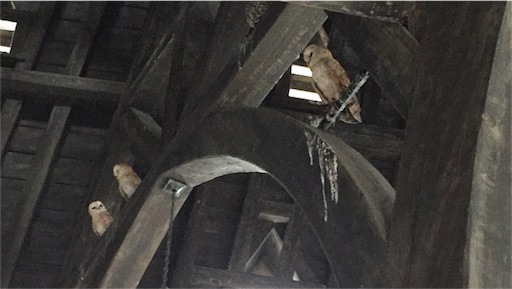 f:id:rsclmya:20170515202608j:image