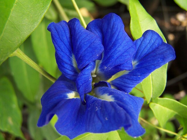 f:id:rse3:20170410183816j:plain f:id:rse3:20170410183816j:plain