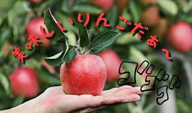 f:id:rse3:20171015222926j:plain