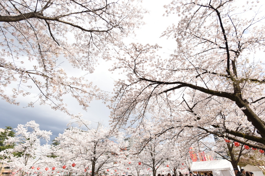 f:id:rskud:20180411235058j:plain