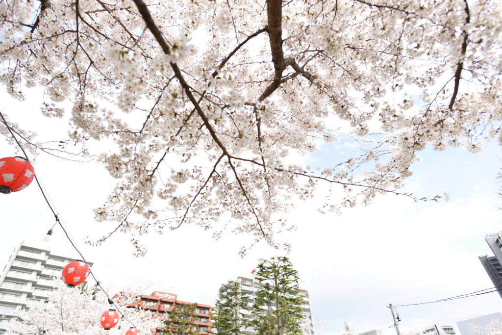 f:id:rskud:20180411235357j:plain