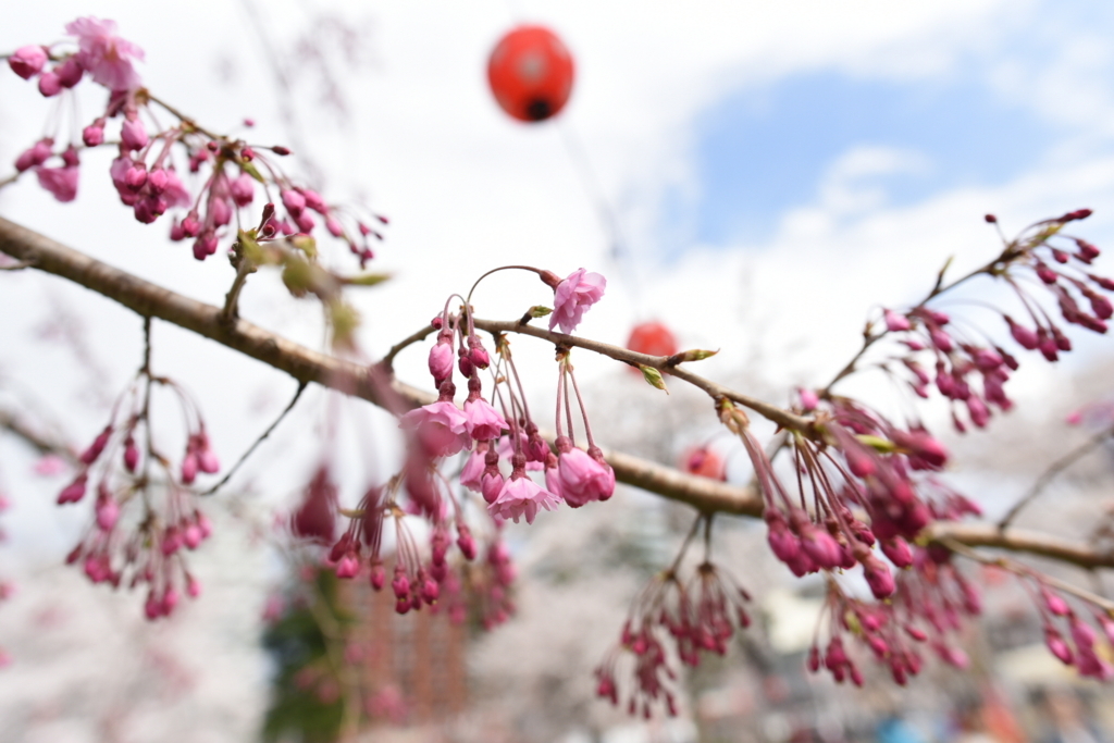 f:id:rskud:20180411235720j:plain