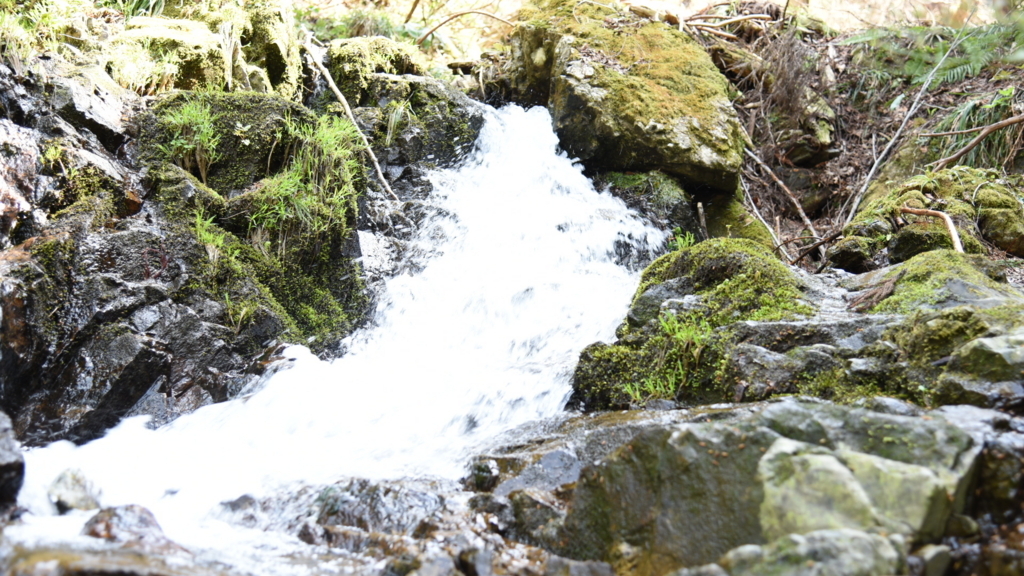 f:id:rskud:20180429233400j:plain