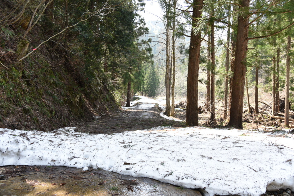 f:id:rskud:20180429233416j:plain