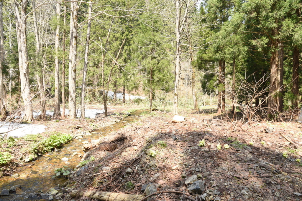 f:id:rskud:20180429233511j:plain