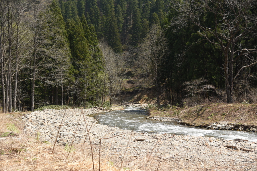 f:id:rskud:20180429233947j:plain