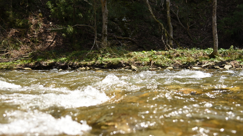 f:id:rskud:20180429234028j:plain