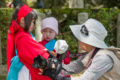 京都新聞写真コンテスト　無理難題