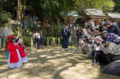 京都新聞写真コンテスト　集団行動