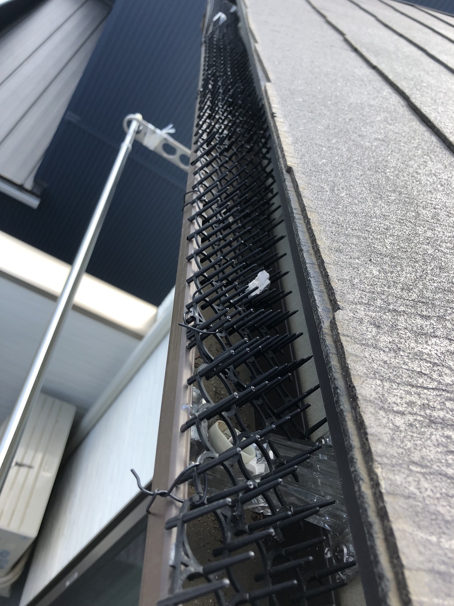 f:id:rt-takahashi:20190616233250j:plain f:id:rt-takahashi:20190616233250j:plain