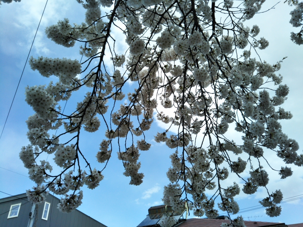 f:id:rtaroyma:20170419130033j:plain
