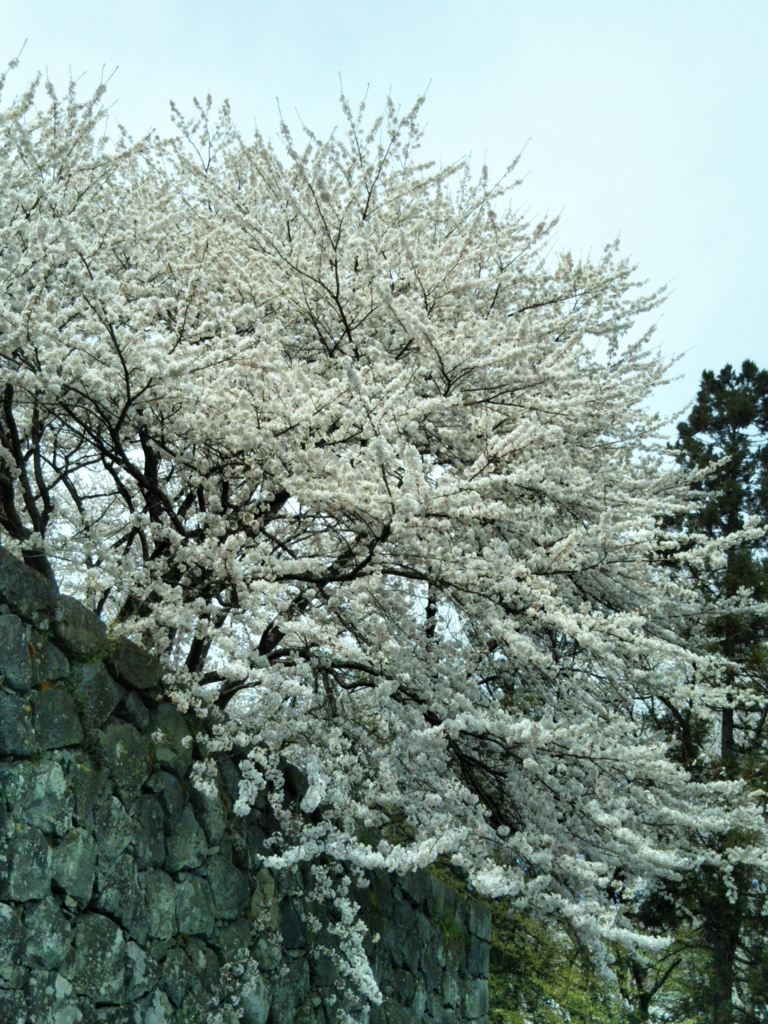 f:id:rtaroyma:20170419133645j:plain