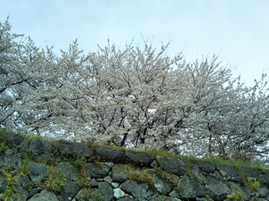 f:id:rtaroyma:20170419133720j:plain