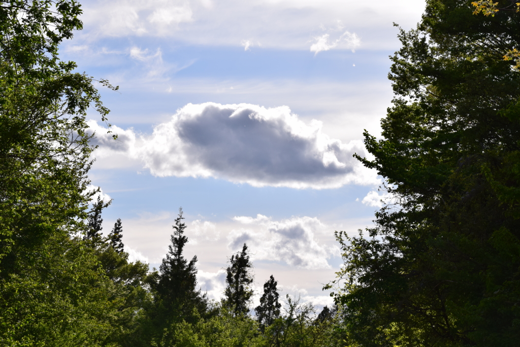 f:id:rtaroyma:20170517184041j:plain