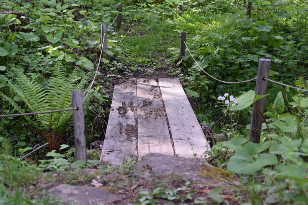 f:id:rtaroyma:20170517193729j:plain