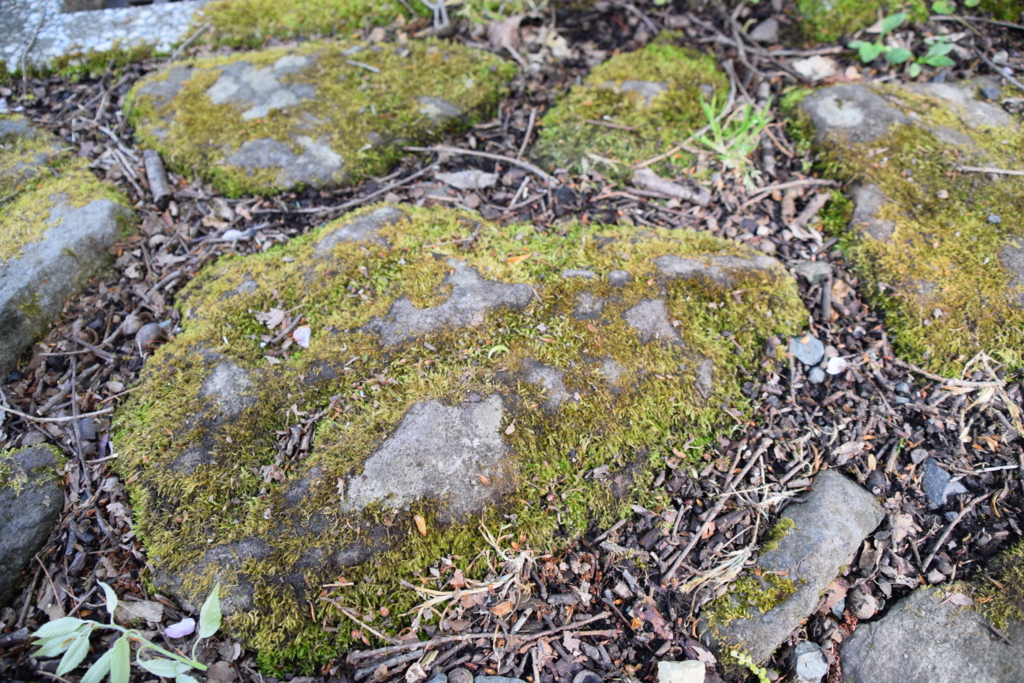 f:id:rtaroyma:20170517193903j:plain