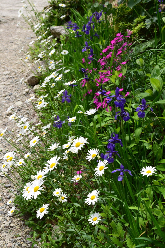 f:id:rtaroyma:20170607185302j:plain f:id:rtaroyma:20170607185302j:plain