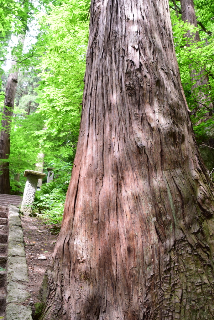 f:id:rtaroyma:20170607231056j:plain