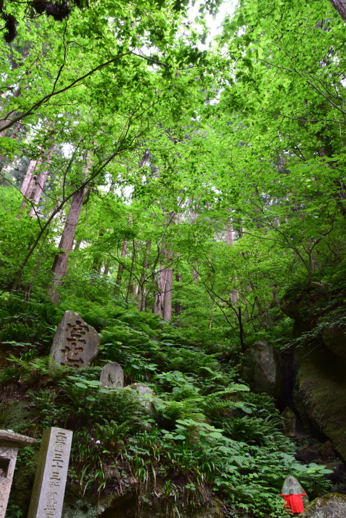 f:id:rtaroyma:20170607233722j:plain