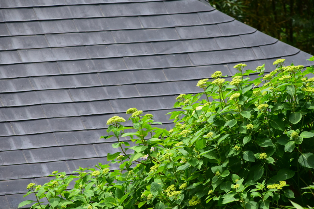 f:id:rtaroyma:20170607234932j:plain