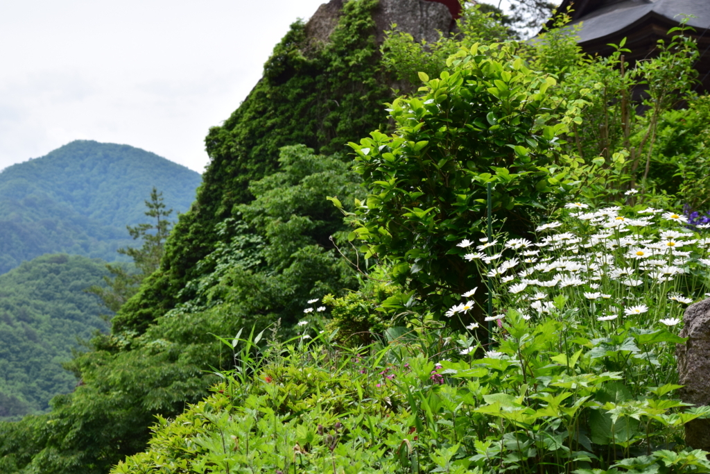 f:id:rtaroyma:20170608000026j:plain