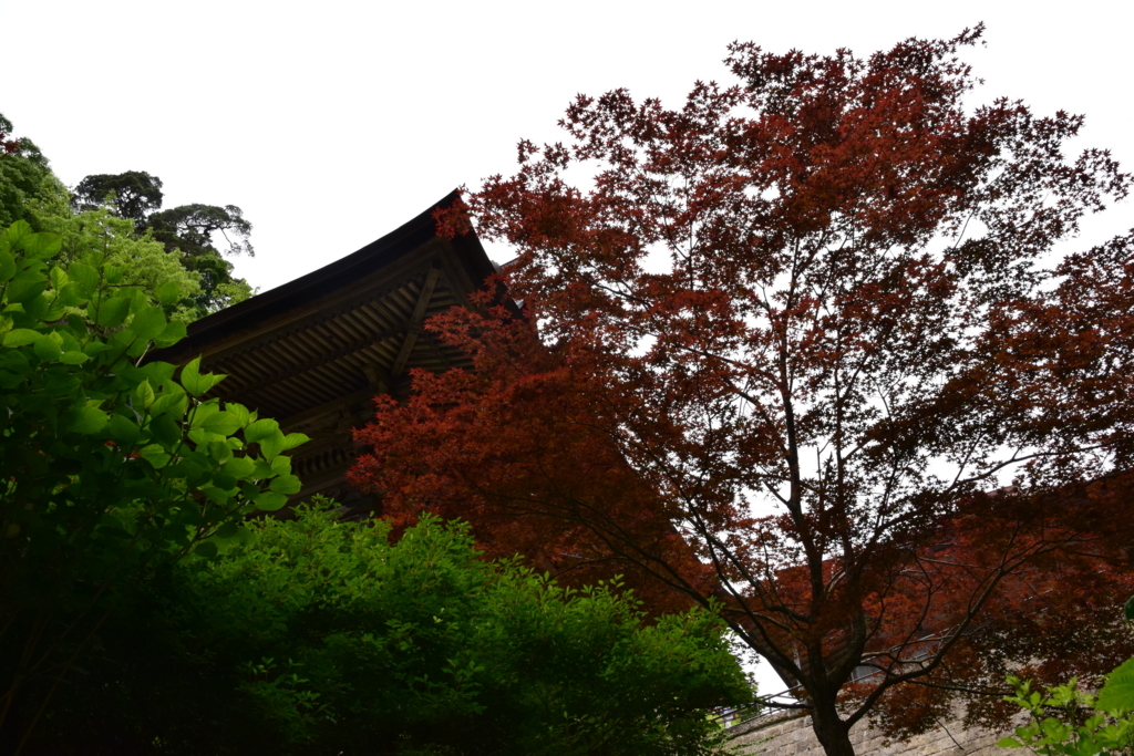 f:id:rtaroyma:20170608005021j:plain