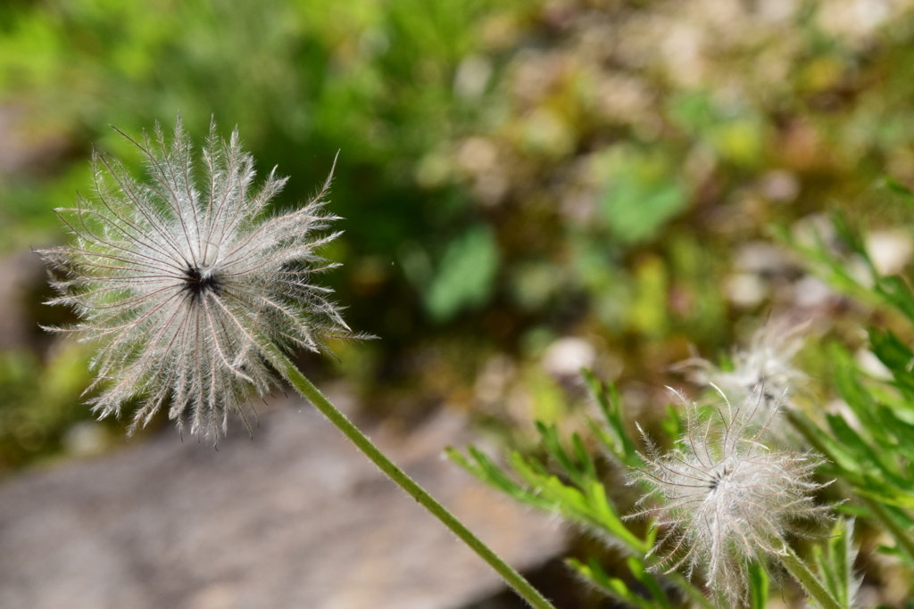 f:id:rtaroyma:20170620183542j:plain