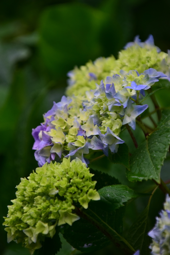 f:id:rtaroyma:20170621141934j:plain