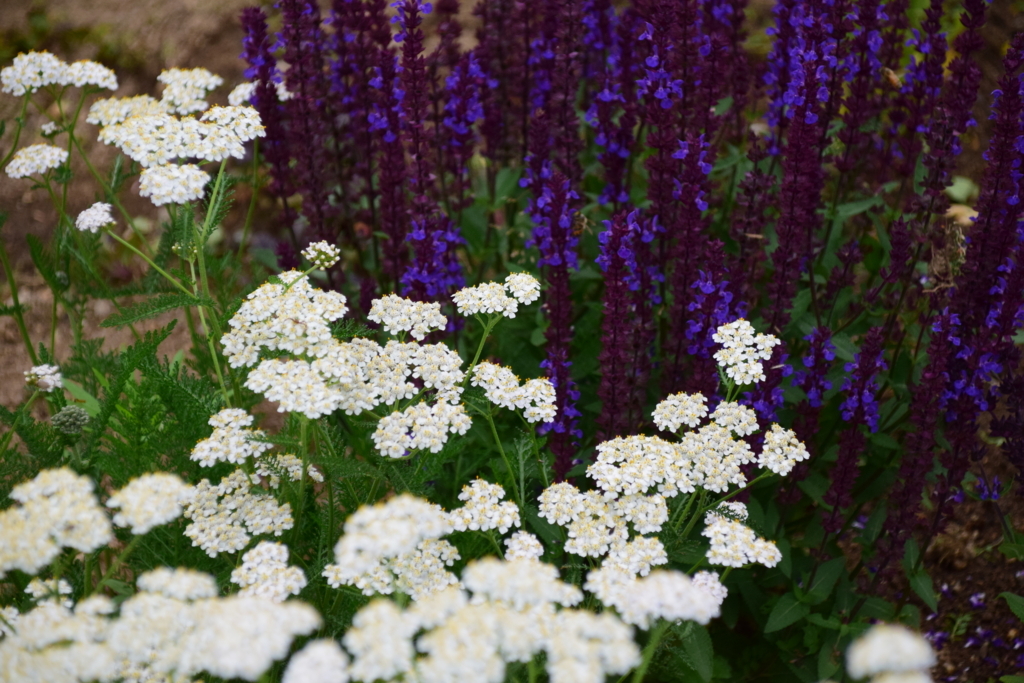 f:id:rtaroyma:20170626092841j:plain