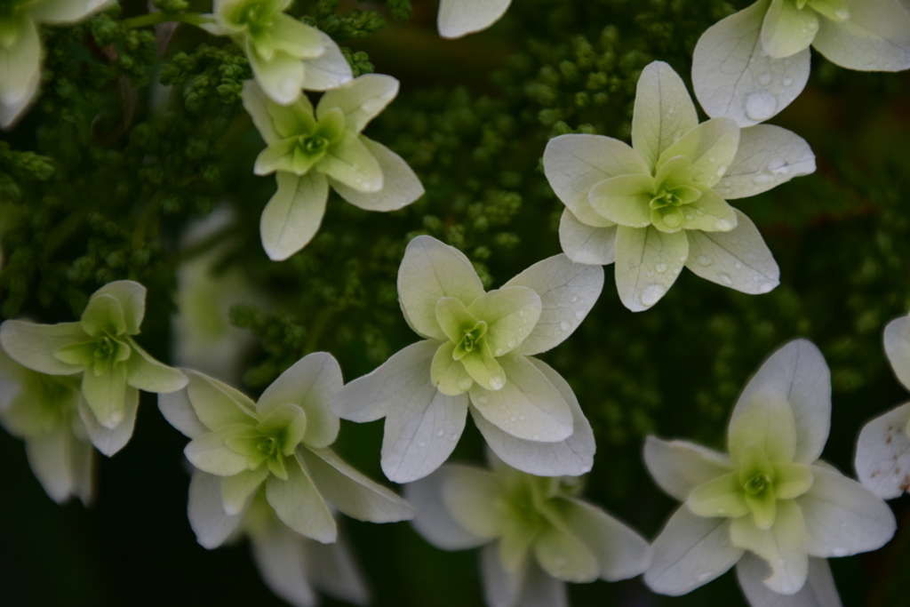 f:id:rtaroyma:20170626100014j:plain